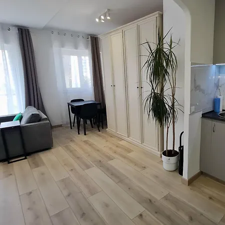 Palm Studio