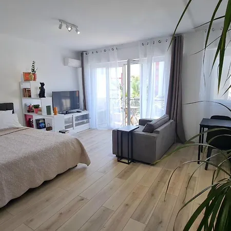 Apartment Palm Studio
