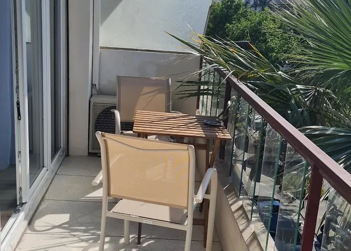Palm Studio Appartamento Nizza