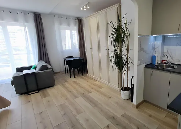 Palm Studio