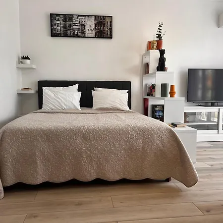 Palm Studio Apartman